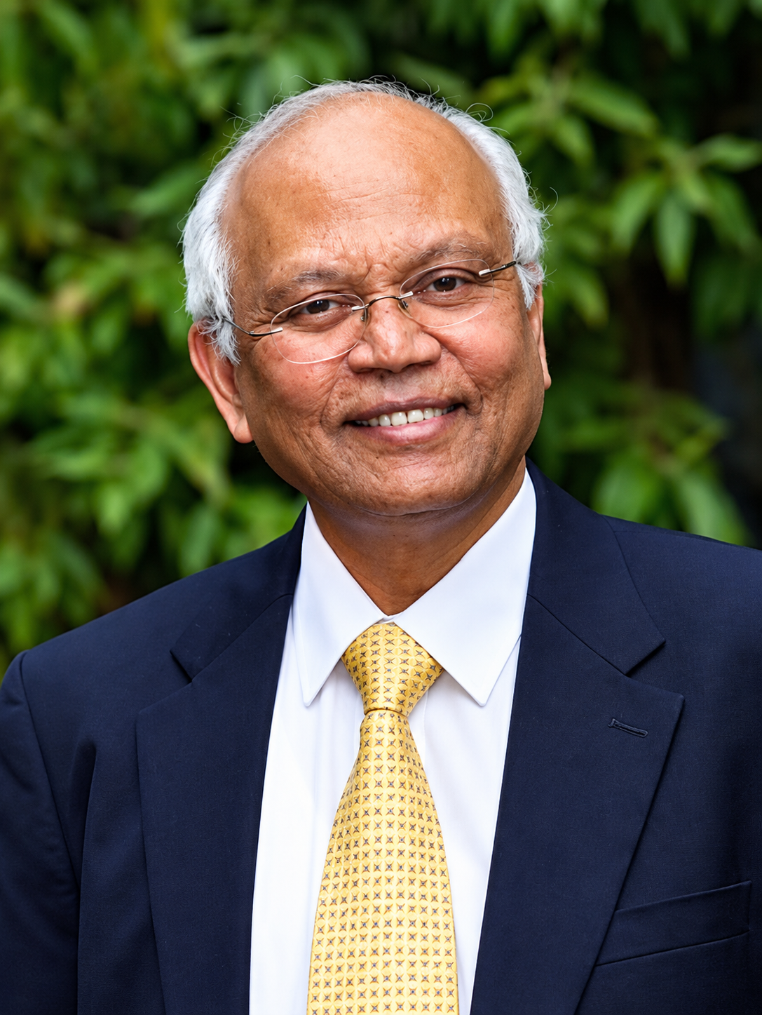 Raghunath Mashelkar